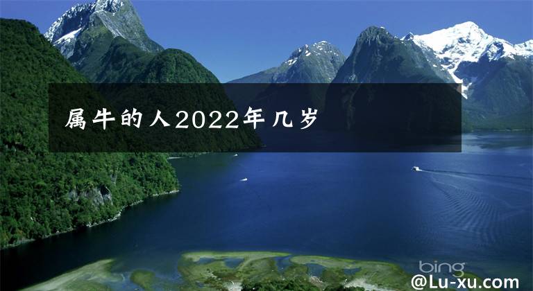 屬牛的人2022年幾歲