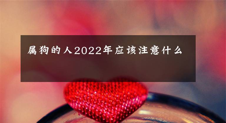 屬狗的人2022年應(yīng)該注意什么