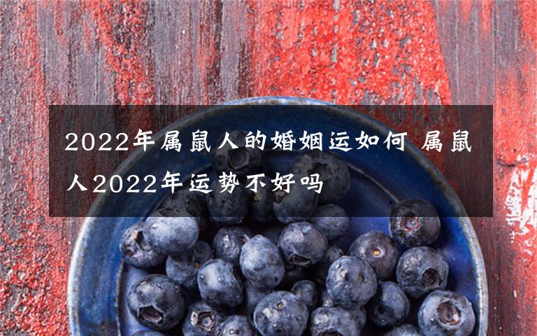 2022年屬鼠人的婚姻運(yùn)如何 屬鼠人2022年運(yùn)勢(shì)不好嗎