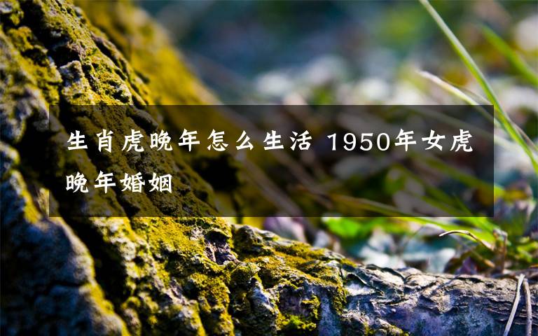 生肖虎晚年怎么生活 1950年女虎晚年婚姻