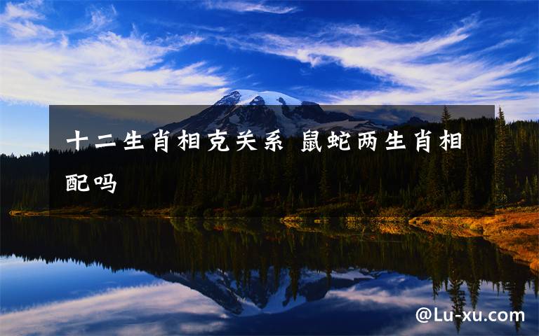 十二生肖相克關(guān)系 鼠蛇兩生肖相配嗎