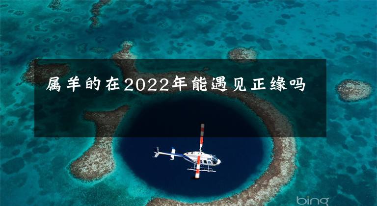 屬羊的在2022年能遇見正緣嗎