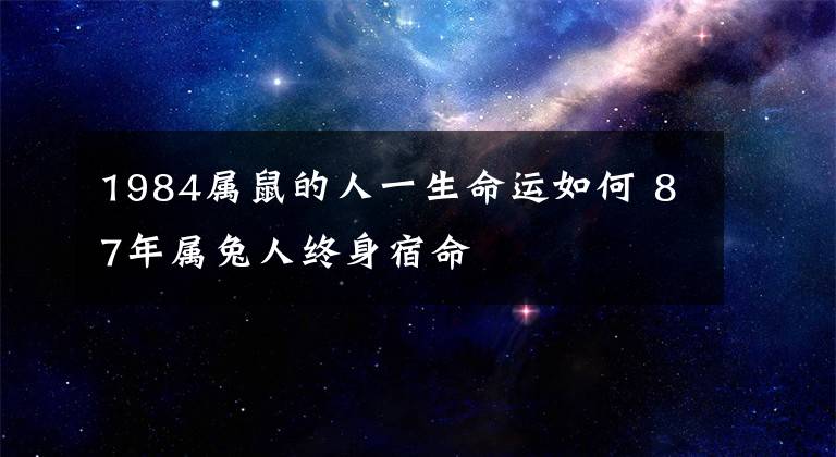 1984屬鼠的人一生命運如何 87年屬兔人終身宿命