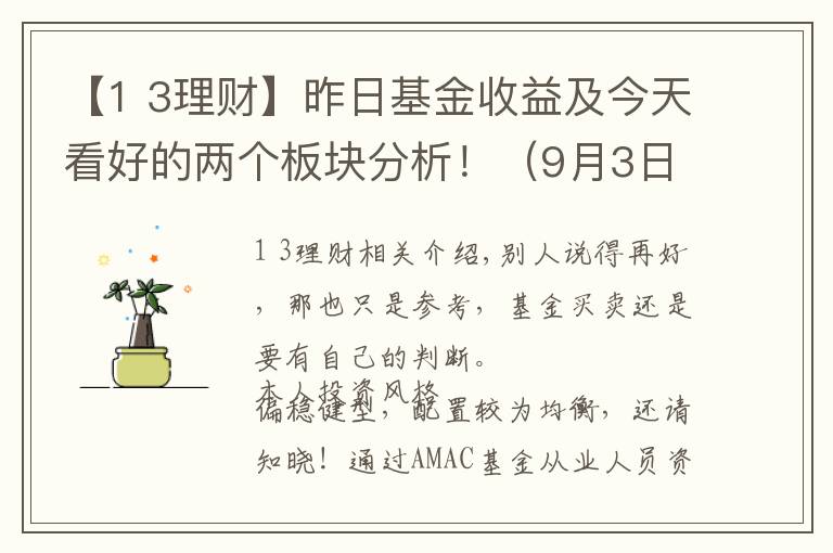 【1 3理財】昨日基金收益及今天看好的兩個板塊分析?。?月3日）