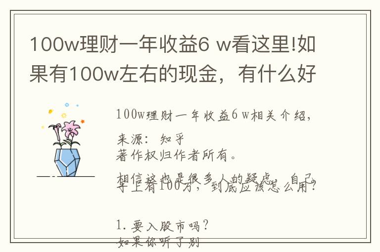 100w理財(cái)一年收益6 w看這里!如果有100w左右的現(xiàn)金，有什么好的理財(cái)方式？