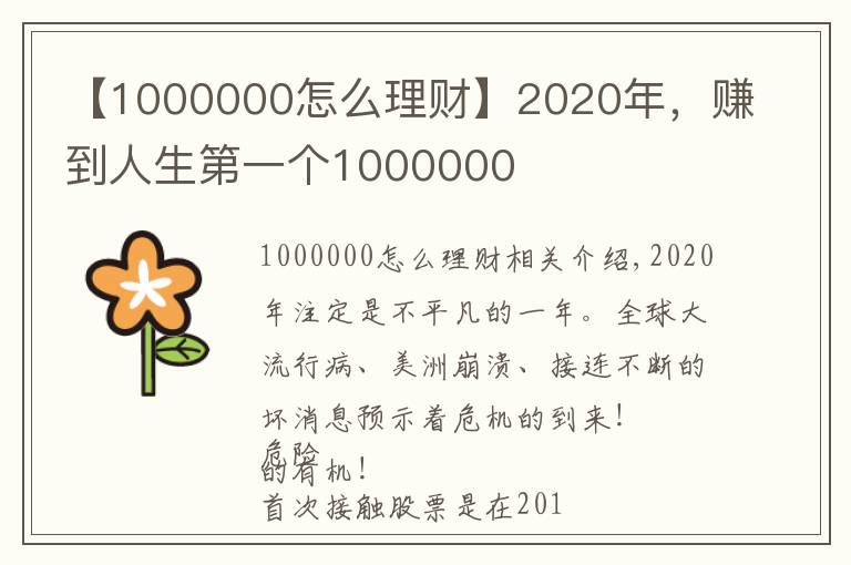 【1000000怎么理財(cái)】2020年，賺到人生第一個(gè)1000000