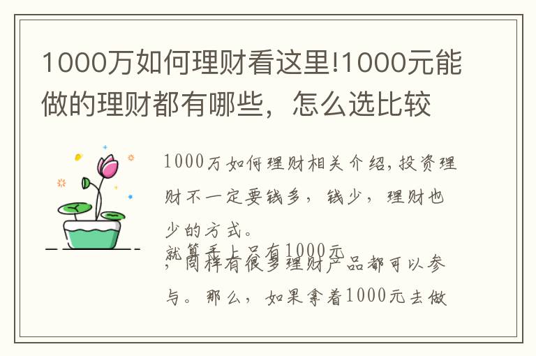 1000萬(wàn)如何理財(cái)看這里!1000元能做的理財(cái)都有哪些，怎么選比較好？