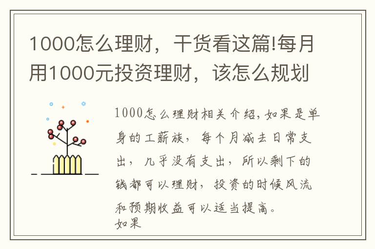 1000怎么理財(cái)，干貨看這篇!每月用1000元投資理財(cái)，該怎么規(guī)劃好？