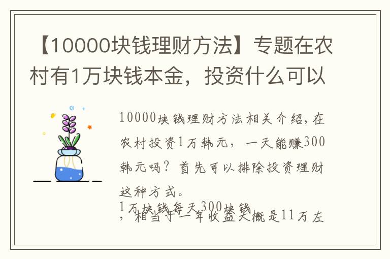 【10000塊錢理財方法】專題在農(nóng)村有1萬塊錢本金，投資什么可以做到日收入300元？