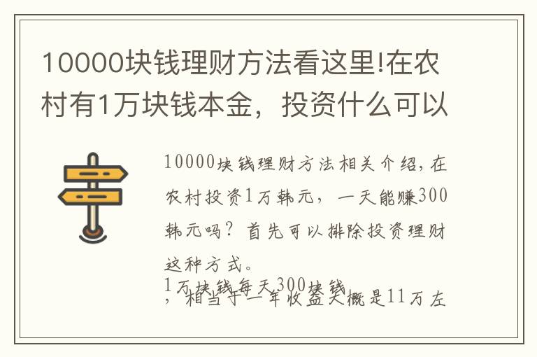 10000塊錢理財方法看這里!在農(nóng)村有1萬塊錢本金，投資什么可以做到日收入300元？