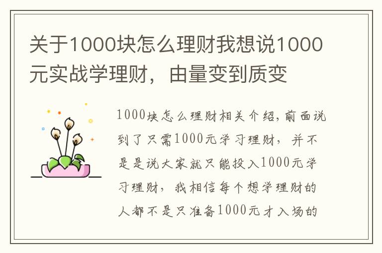 關于1000塊怎么理財我想說1000元實戰(zhàn)學理財，由量變到質(zhì)變