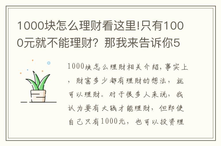 1000塊怎么理財看這里!只有1000元就不能理財？那我來告訴你5種1000元財富增值的方式