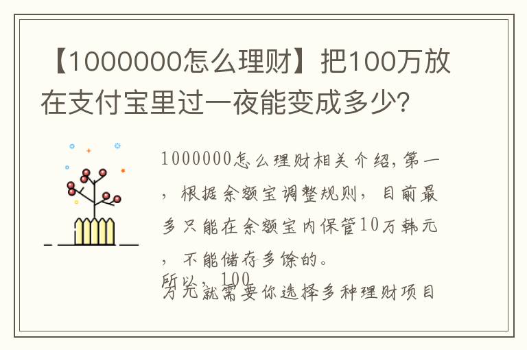 【1000000怎么理財(cái)】把100萬(wàn)放在支付寶里過(guò)一夜能變成多少？