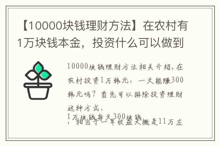 【10000塊錢理財方法】在農(nóng)村有1萬塊錢本金，投資什么可以做到日收入300元？