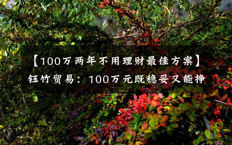 【100萬兩年不用理財最佳方案】鈺竹貿(mào)易：100萬元既穩(wěn)妥又能掙到錢的理財方式有哪些？