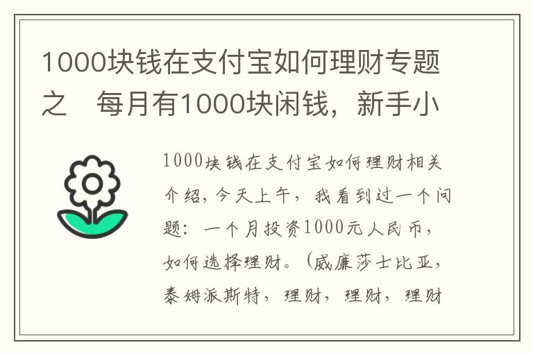 1000塊錢在支付寶如何理財(cái)專題之?每月有1000塊閑錢，新手小白如何理財(cái)？