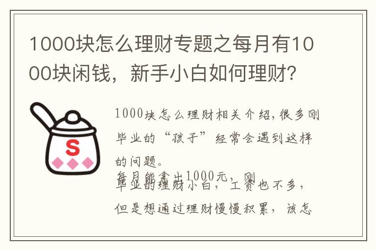 1000塊怎么理財專題之每月有1000塊閑錢，新手小白如何理財？