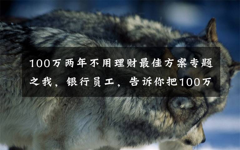 100萬兩年不用理財最佳方案專題之我，銀行員工，告訴你把100萬放在銀行，光吃利息，不上班行嗎？