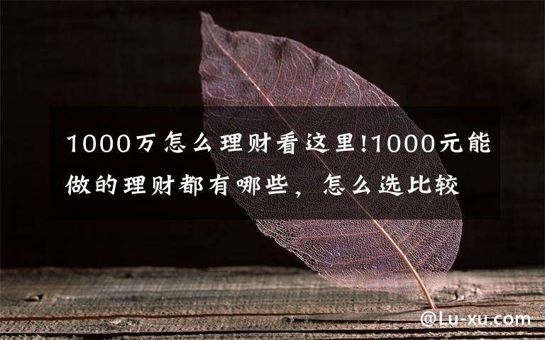 1000萬(wàn)怎么理財(cái)看這里!1000元能做的理財(cái)都有哪些，怎么選比較好？