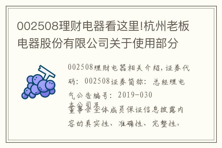 002508理財(cái)電器看這里!杭州老板電器股份有限公司關(guān)于使用部分自有閑置資金進(jìn)行投資理財(cái)?shù)墓?></a></div>
              <div   id=