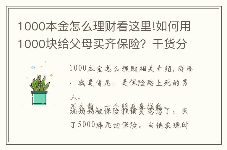 1000本金怎么理財看這里!如何用1000塊給父母買齊保險？干貨分享