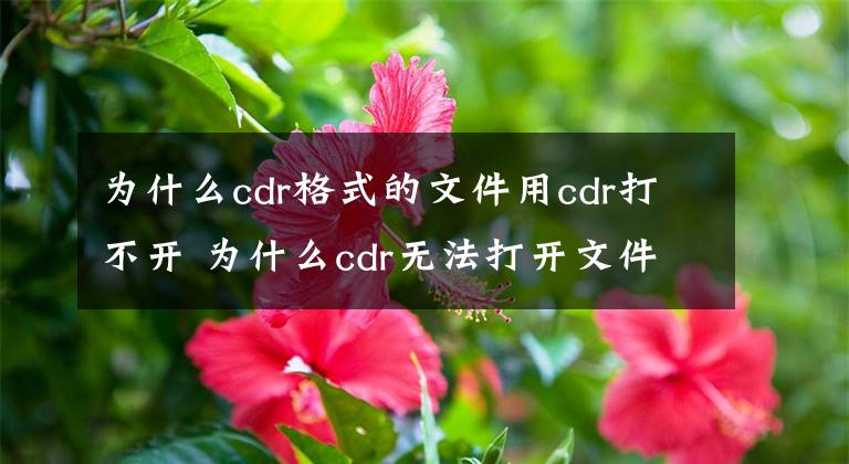 為什么cdr格式的文件用cdr打不開 為什么cdr無法打開文件