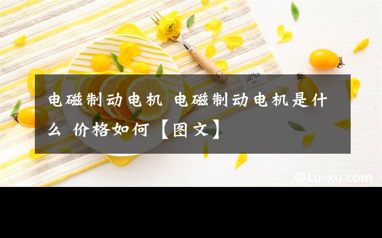 電磁制動電機 電磁制動電機是什么 價格如何【圖文】