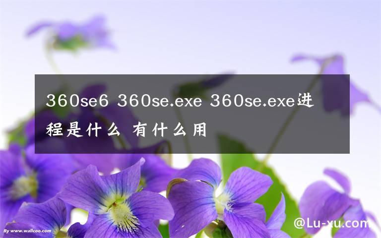 360se6 360se.exe 360se.exe進(jìn)程是什么 有什么用