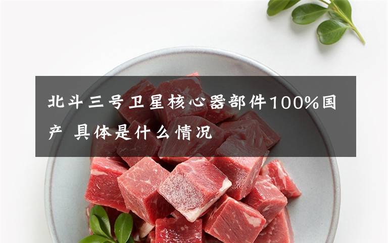 北斗三號衛(wèi)星核心器部件100%國產(chǎn) 具體是什么情況