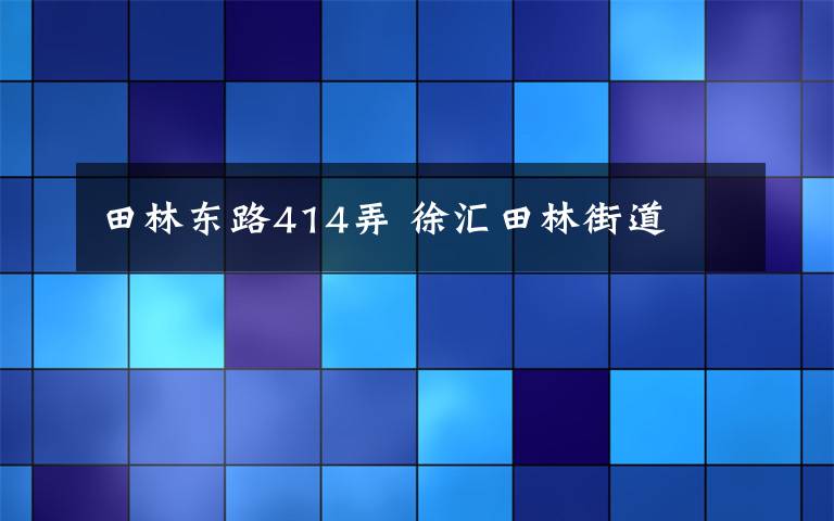 田林東路414弄 徐匯田林街道