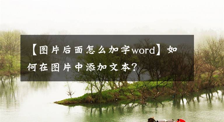 【圖片后面怎么加字word】如何在圖片中添加文本？