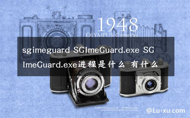 sgimeguard SGImeGuard.exe SGImeGuard.exe進(jìn)程是什么 有什么用