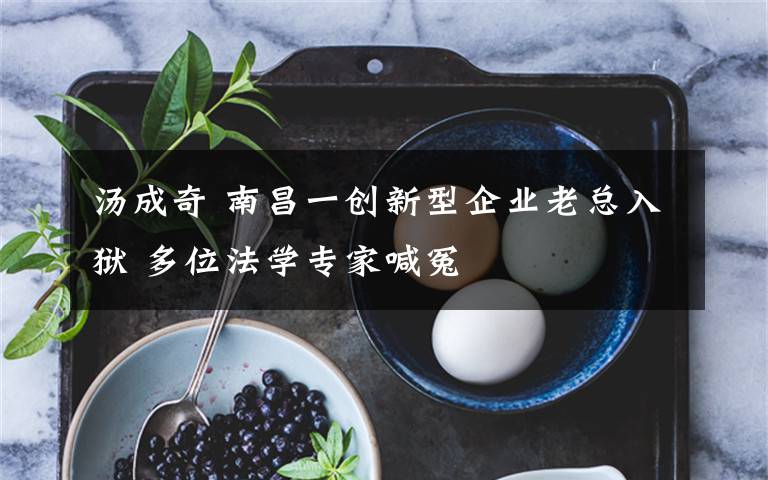 湯成奇 南昌一創(chuàng)新型企業(yè)老總?cè)氇z 多位法學(xué)專家喊冤