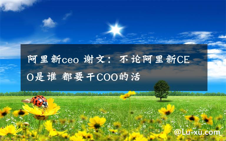 阿里新ceo 謝文：不論阿里新CEO是誰 都要干COO的活