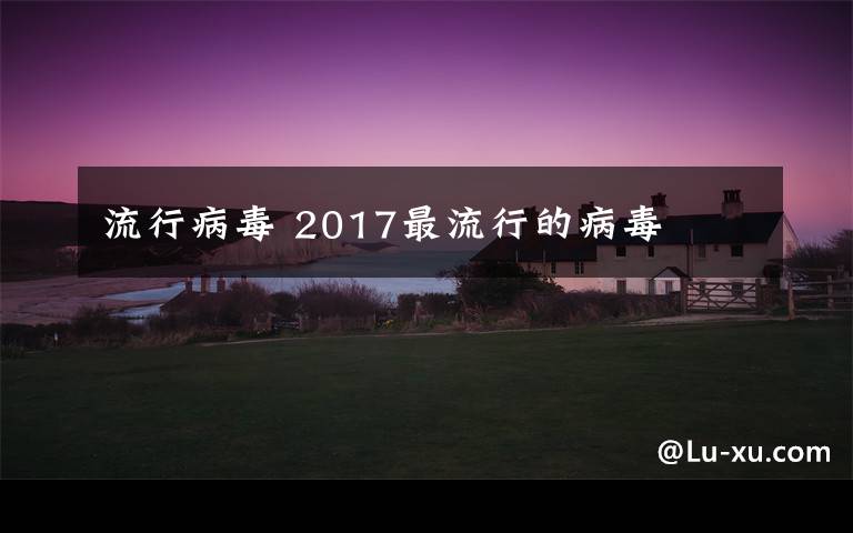 流行病毒 2017最流行的病毒