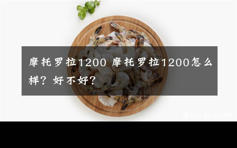 摩托羅拉1200 摩托羅拉1200怎么樣？好不好？