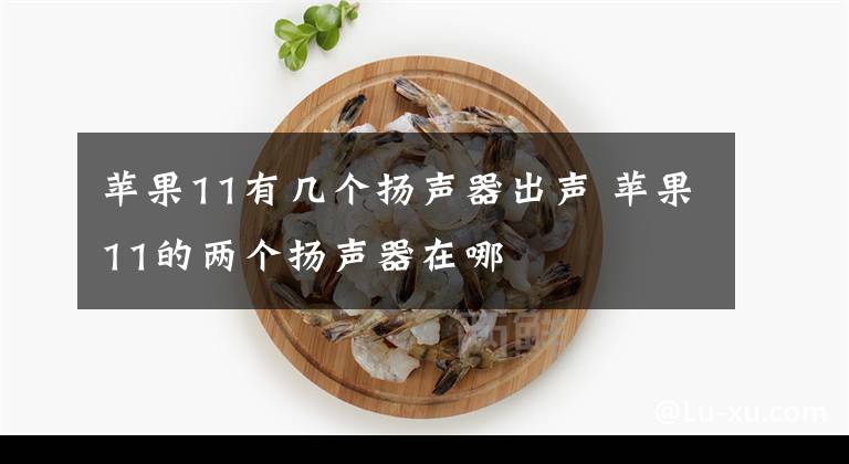 蘋果11有幾個揚聲器出聲 蘋果11的兩個揚聲器在哪