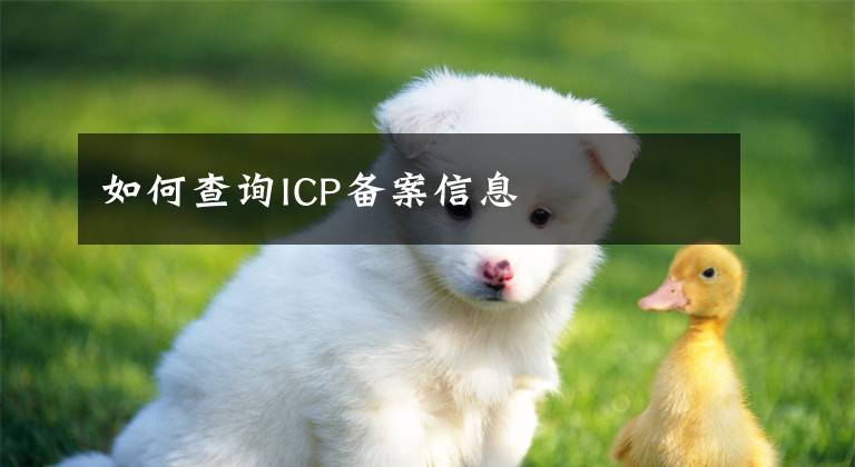 如何查詢ICP備案信息