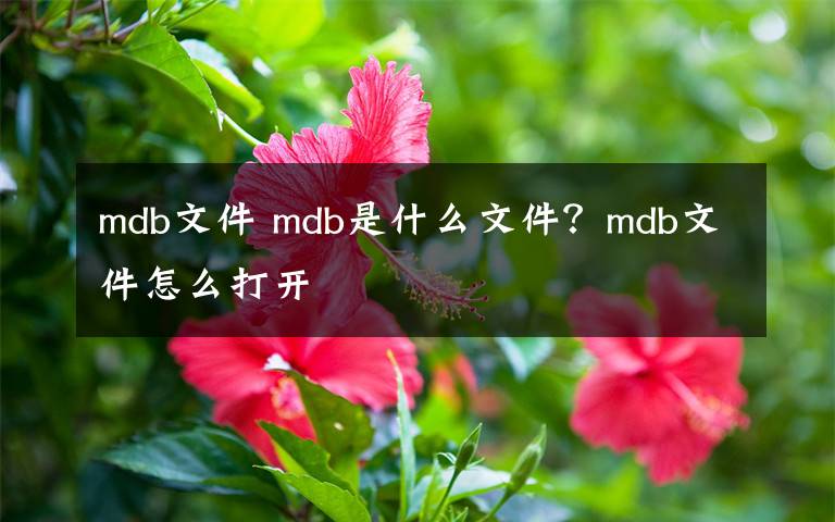 mdb文件 mdb是什么文件？mdb文件怎么打開