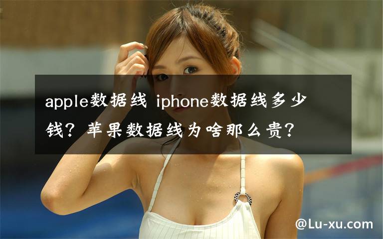 apple數(shù)據(jù)線 iphone數(shù)據(jù)線多少錢(qián)？蘋(píng)果數(shù)據(jù)線為啥那么貴？