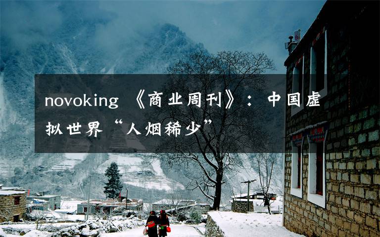 novoking 《商業(yè)周刊》：中國虛擬世界“人煙稀少”