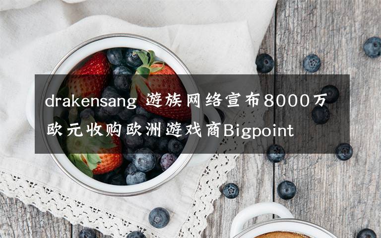 drakensang 游族網(wǎng)絡宣布8000萬歐元收購歐洲游戲商Bigpoint