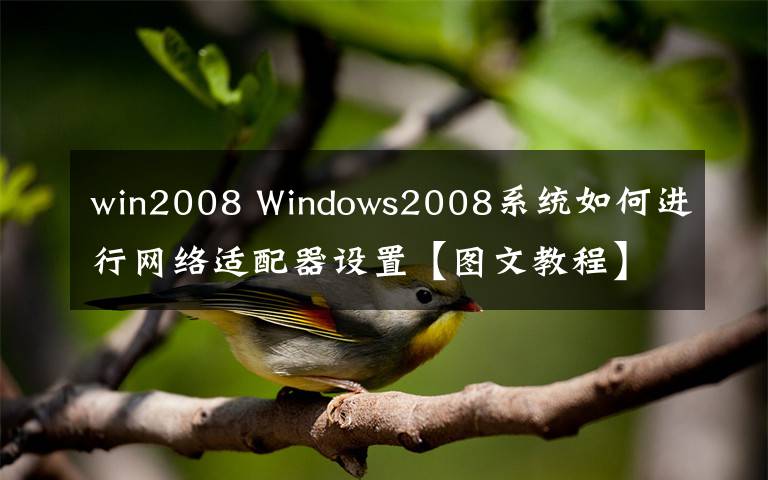 win2008 Windows2008系統(tǒng)如何進行網(wǎng)絡適配器設置【圖文教程】