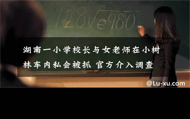 湖南一小學(xué)校長與女老師在小樹林車內(nèi)私會被抓 官方介入調(diào)查