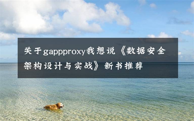 關于gappproxy我想說《數(shù)據(jù)安全架構設計與實戰(zhàn)》新書推薦