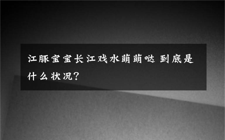 江豚寶寶長江戲水萌萌噠 到底是什么狀況？