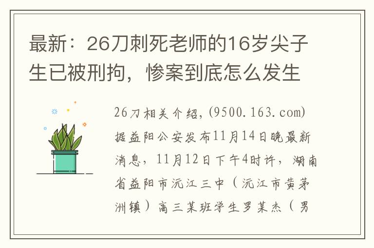 最新：26刀刺死老師的16歲尖子生已被刑拘，慘案到底怎么發(fā)生的？