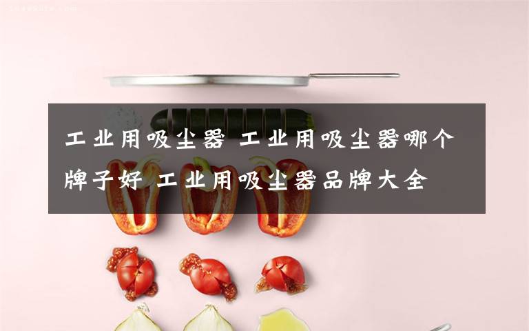 工業(yè)用吸塵器 工業(yè)用吸塵器哪個(gè)牌子好 工業(yè)用吸塵器品牌大全