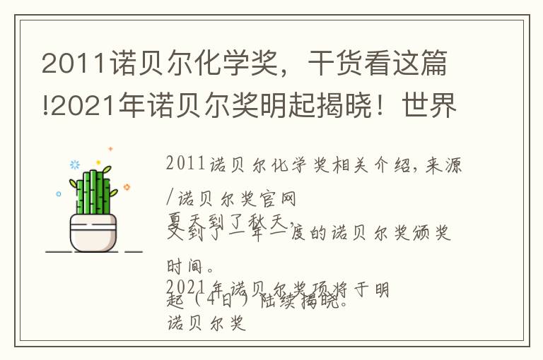 2011諾貝爾化學(xué)獎(jiǎng)，干貨看這篇!2021年諾貝爾獎(jiǎng)明起揭曉！世界頂尖科學(xué)家們?yōu)槟銊澲攸c(diǎn)