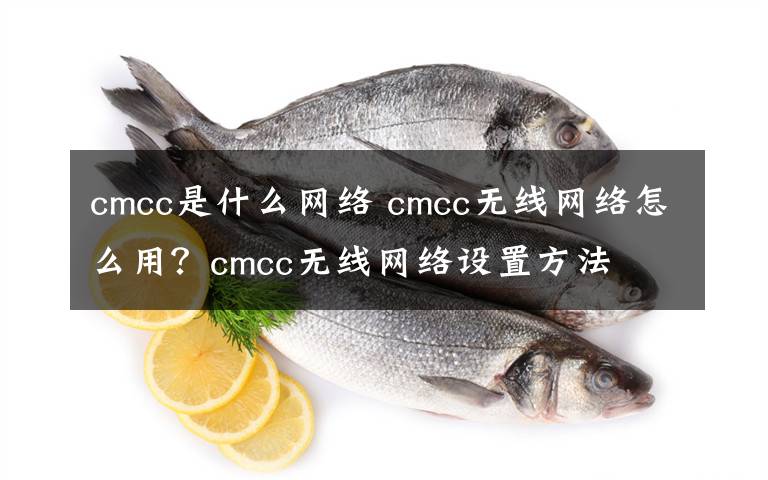 cmcc是什么網(wǎng)絡(luò) cmcc無(wú)線(xiàn)網(wǎng)絡(luò)怎么用？cmcc無(wú)線(xiàn)網(wǎng)絡(luò)設(shè)置方法